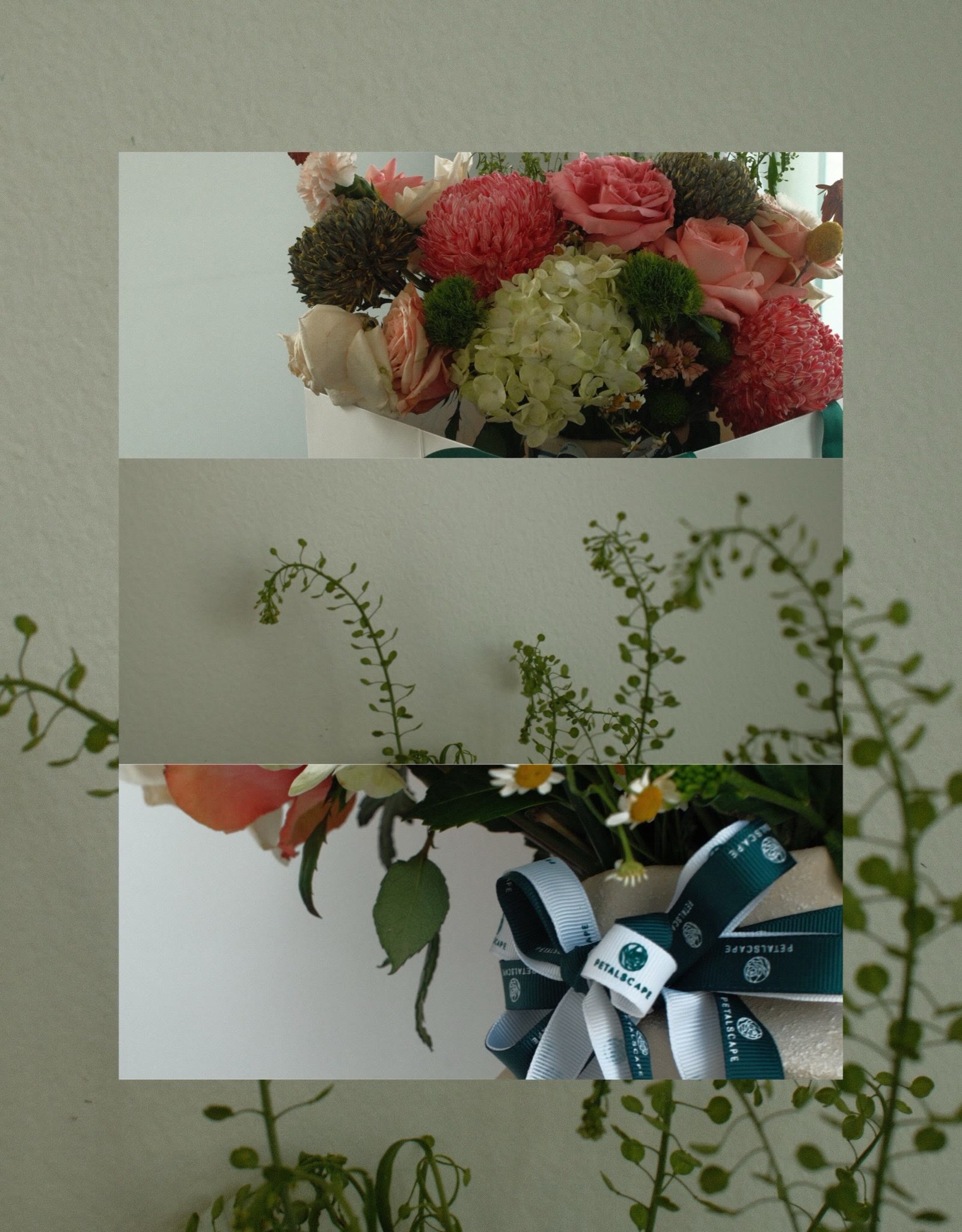 Flowers photo